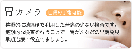 胃カメラ　日帰り手術可能